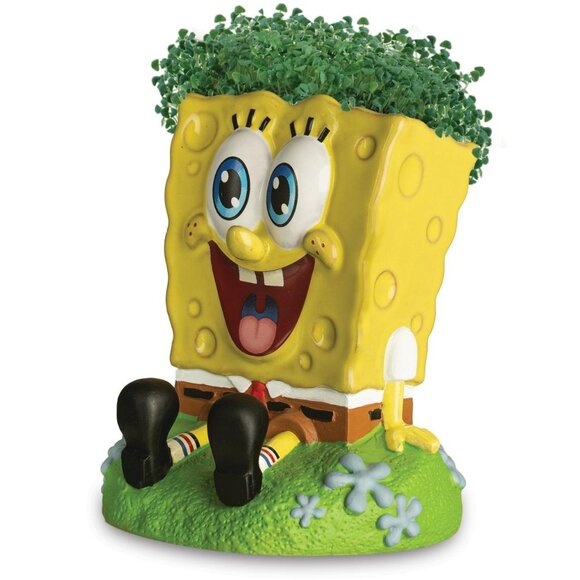 Chia Pet Sponge Bob - Handmade Funny Decorative Terracotta Planter Yellow NEW - Picture 1 of 12